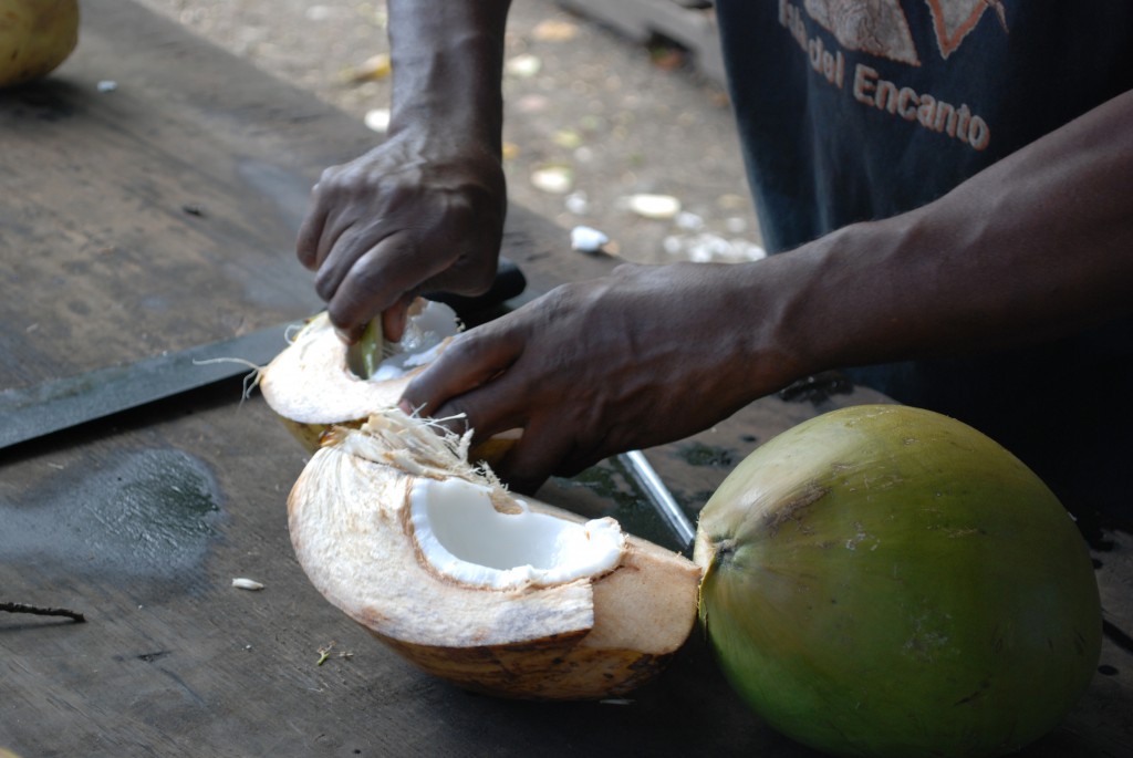 Tobago kokosnöt © Elisabeth Sjöberg Strand